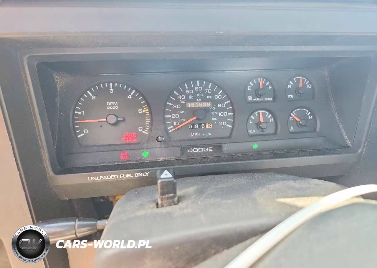 1994 Dodge Dakota VIN:1B7GG23X6RW113007 - 9