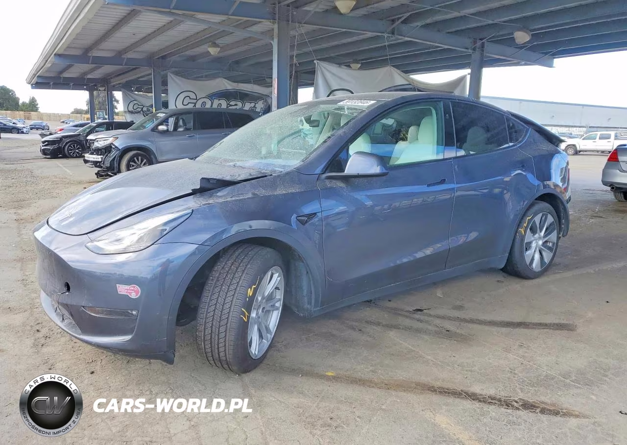 2023 Tesla Model Y VIN:7SAYGDEE5PF823161 - 1