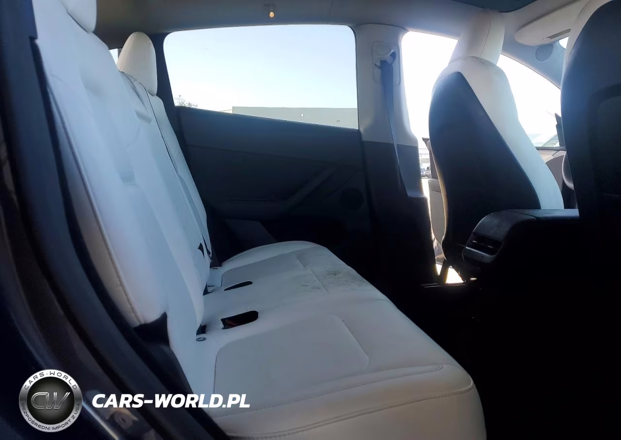 2023 Tesla Model Y VIN:7SAYGDEE5PF823161 - 10