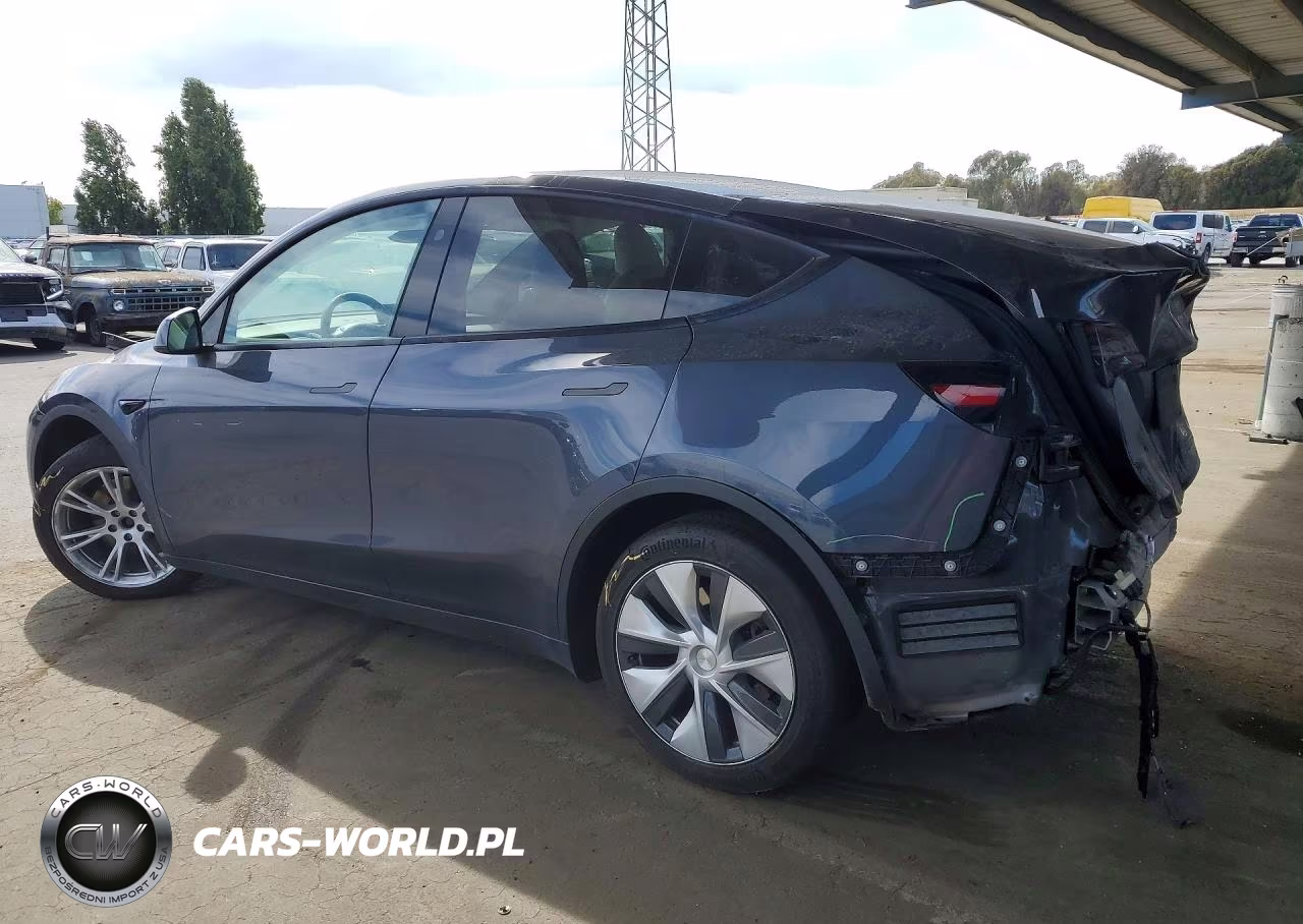 2023 Tesla Model Y VIN:7SAYGDEE5PF823161 - 2