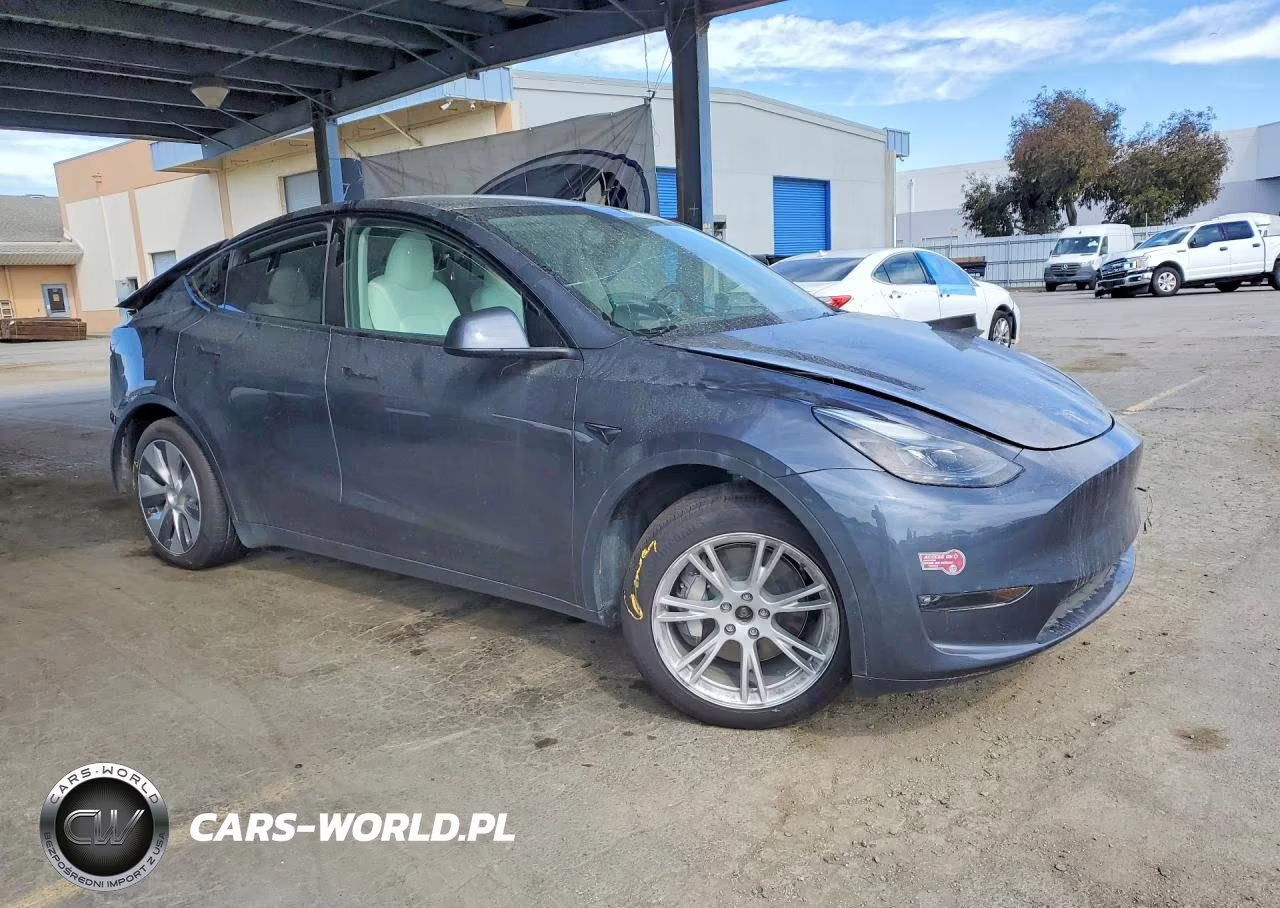 2023 Tesla Model Y VIN:7SAYGDEE5PF823161 - 4