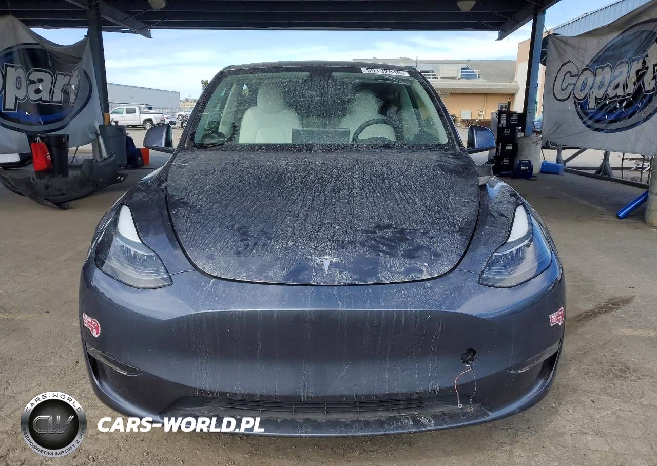 2023 Tesla Model Y VIN:7SAYGDEE5PF823161 - 5