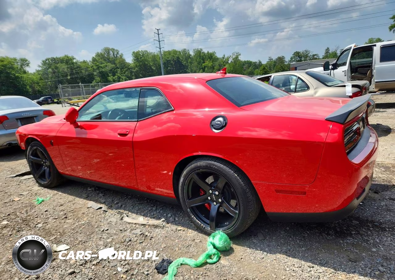 2019 Dodge Challenger Srt Hellcat Redeye VIN:2C3CDZL99KH638301 - 2