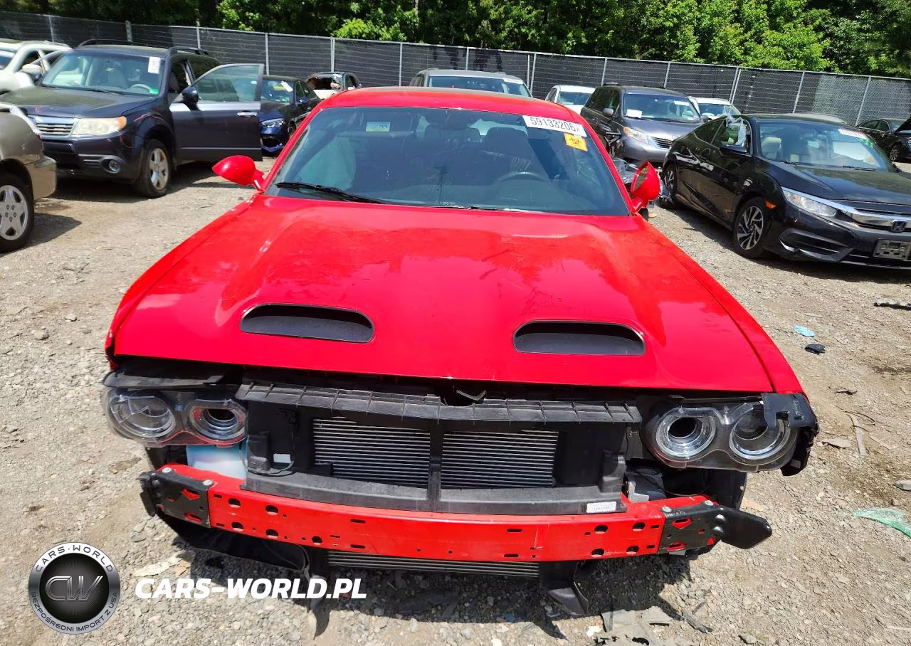 2019 Dodge Challenger Srt Hellcat Redeye VIN:2C3CDZL99KH638301 - 5