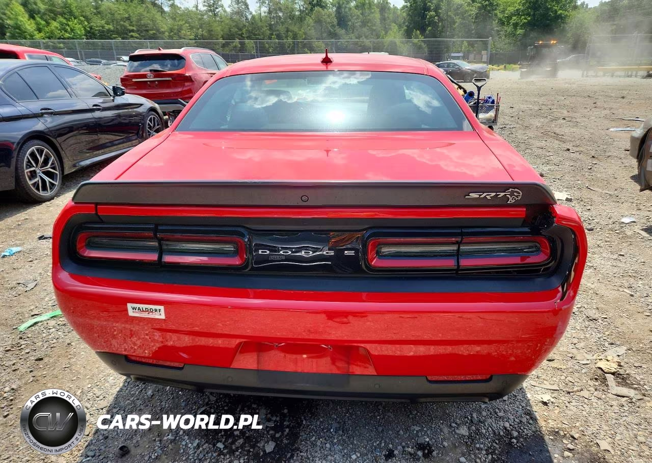 2019 Dodge Challenger Srt Hellcat Redeye VIN:2C3CDZL99KH638301 - 6