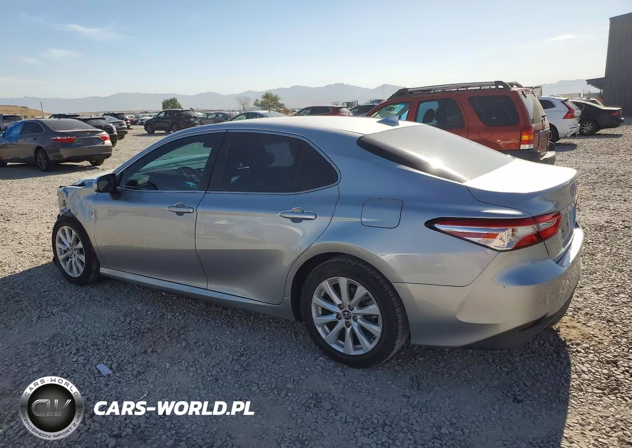 2020 Toyota Camry Le VIN:4T1C11AKXLU920338 - 2