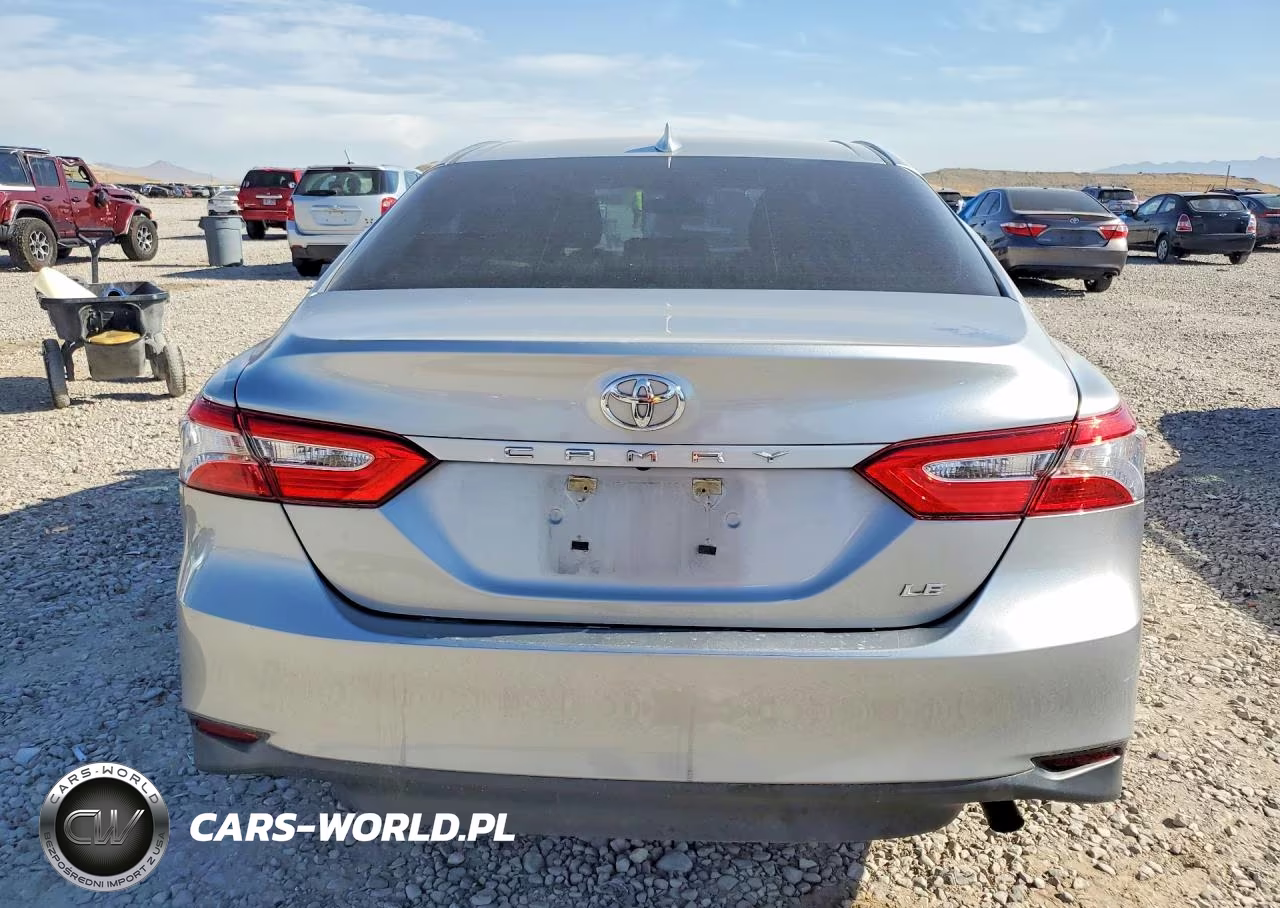 2020 Toyota Camry Le VIN:4T1C11AKXLU920338 - 6