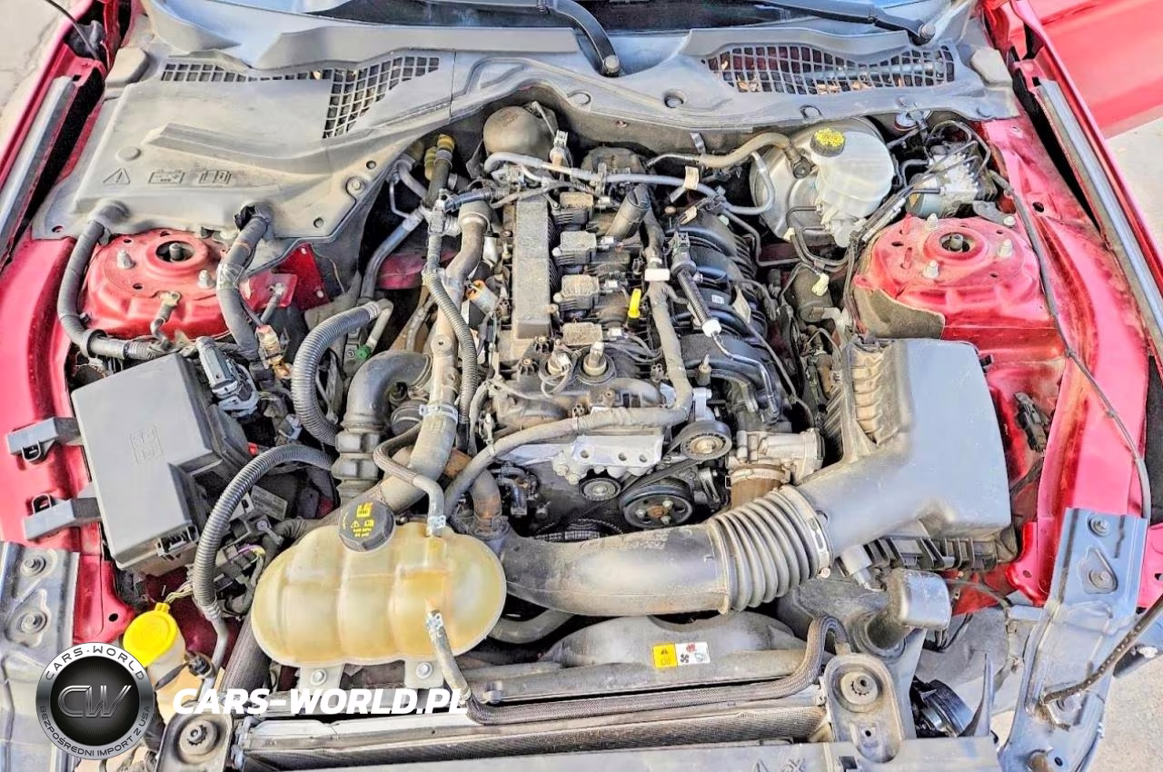 2018 Ford Mustang VIN:1FA6P8TH0J5108005 - 11