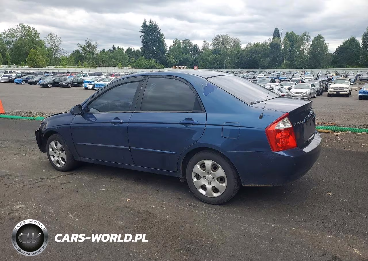 2005 Kia Spectra VIN:KNAFE121955170274 - 2