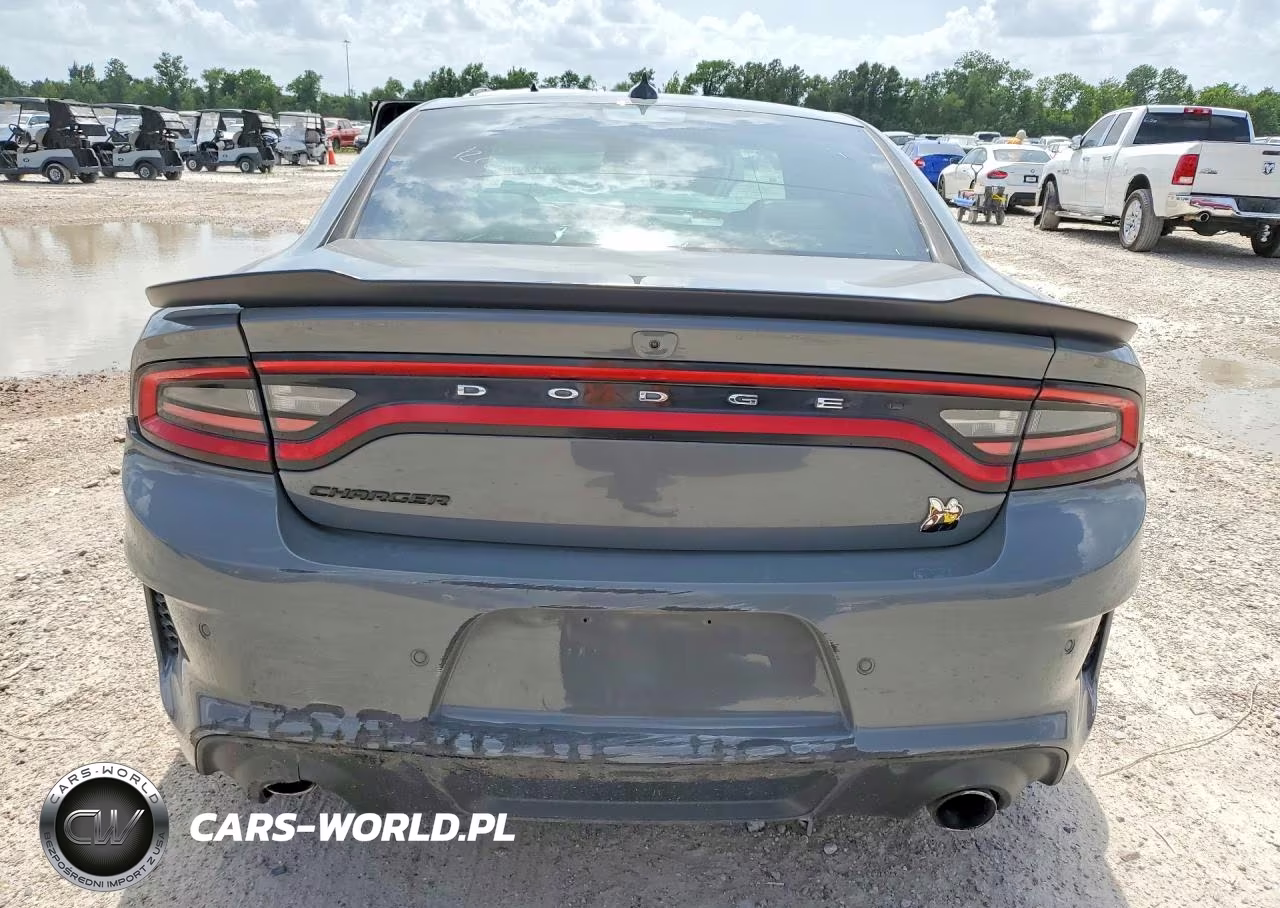 2023 Dodge Charger Sp VIN:2C3CDXGJ1PH646165 - 6