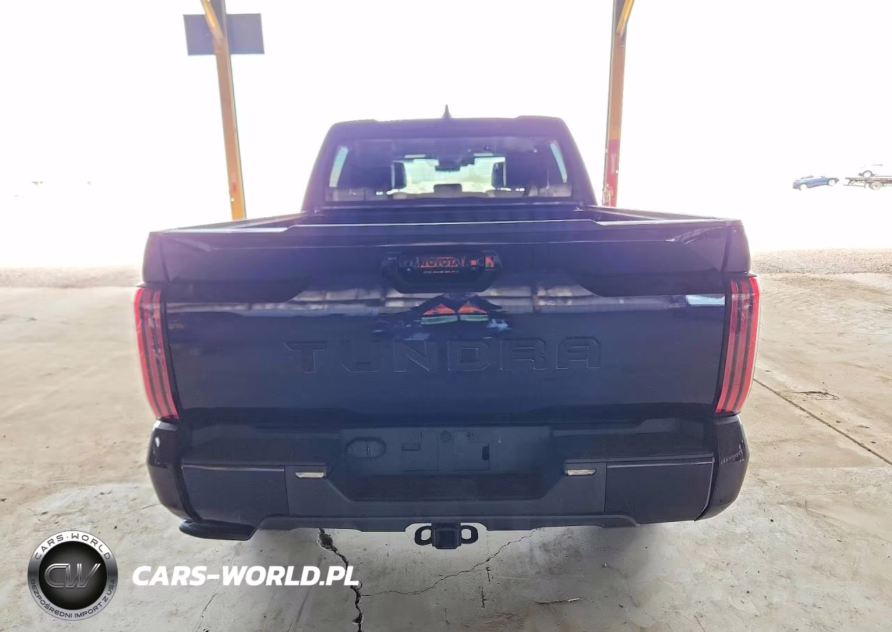 2024 Toyota Tundra Platinum VIN:5TFNA5AB5RX030647 - 6