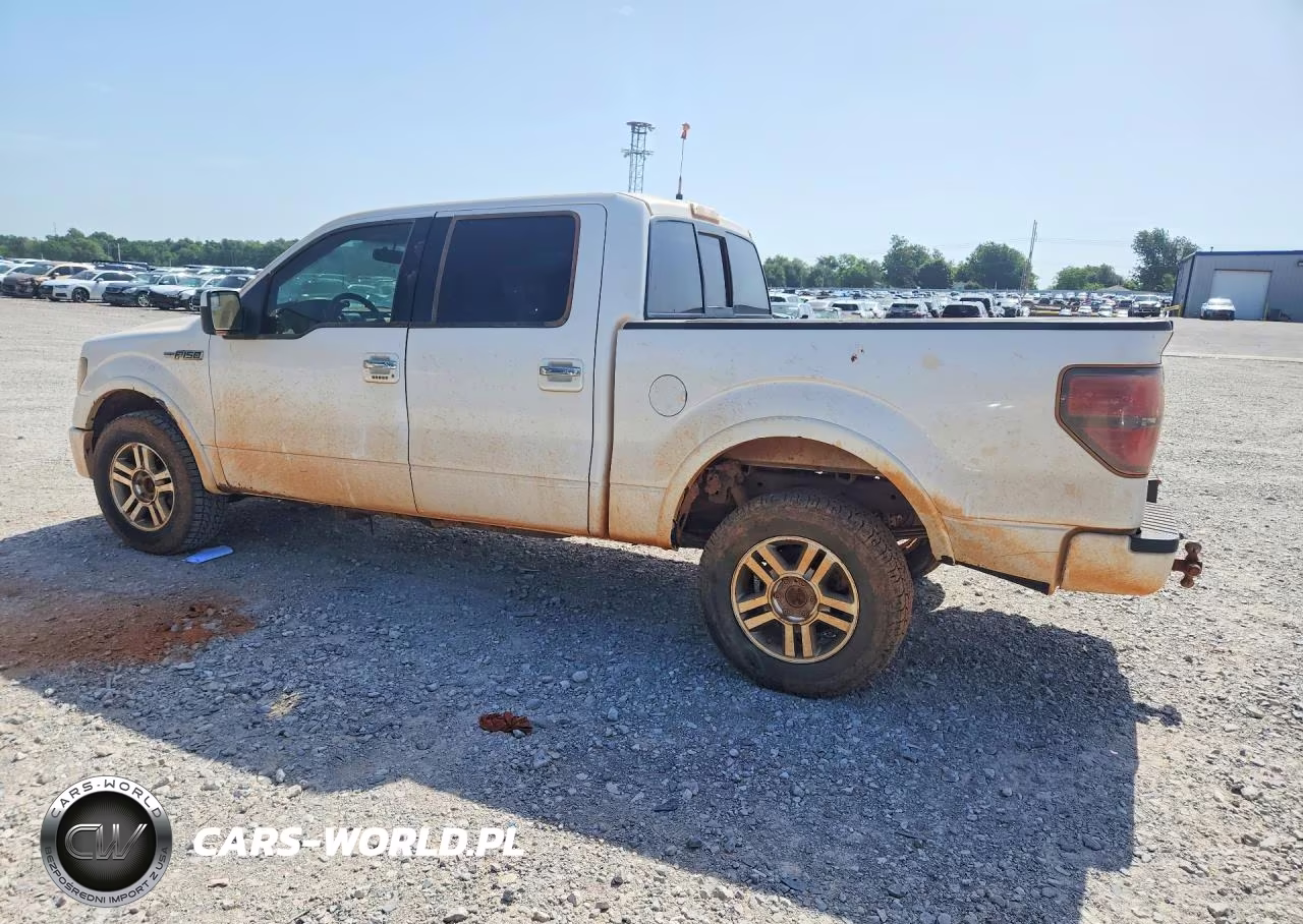 2011 Ford F150 Supercrew VIN:1FTFW1E68BFA48177 - 2