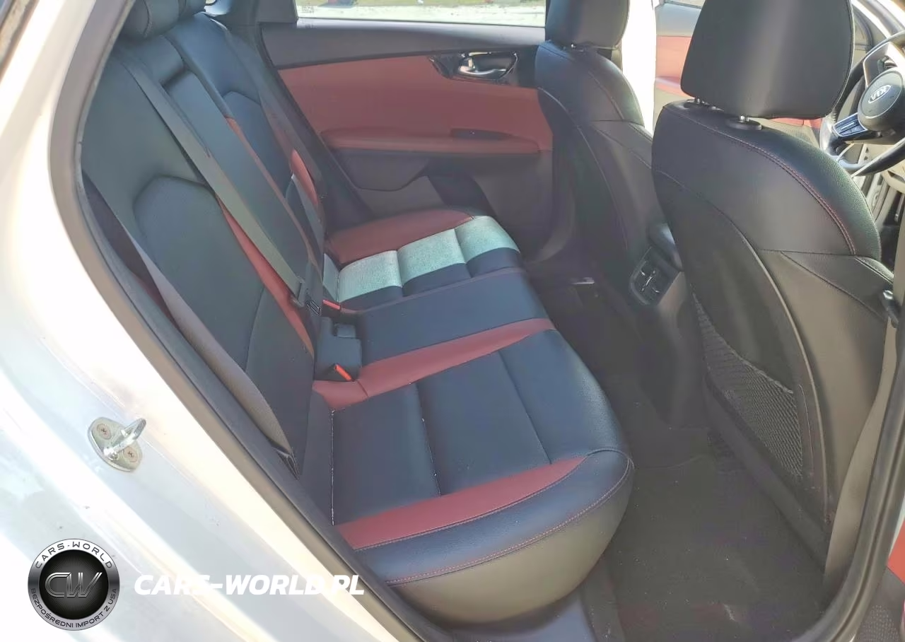 2019 Kia Forte Ex VIN:3KPF54AD8KE029888 - 10