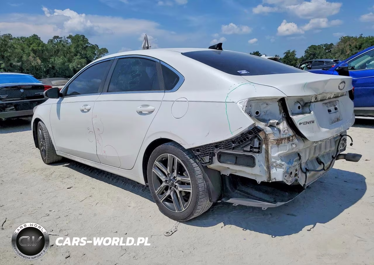 2019 Kia Forte Ex VIN:3KPF54AD8KE029888 - 2