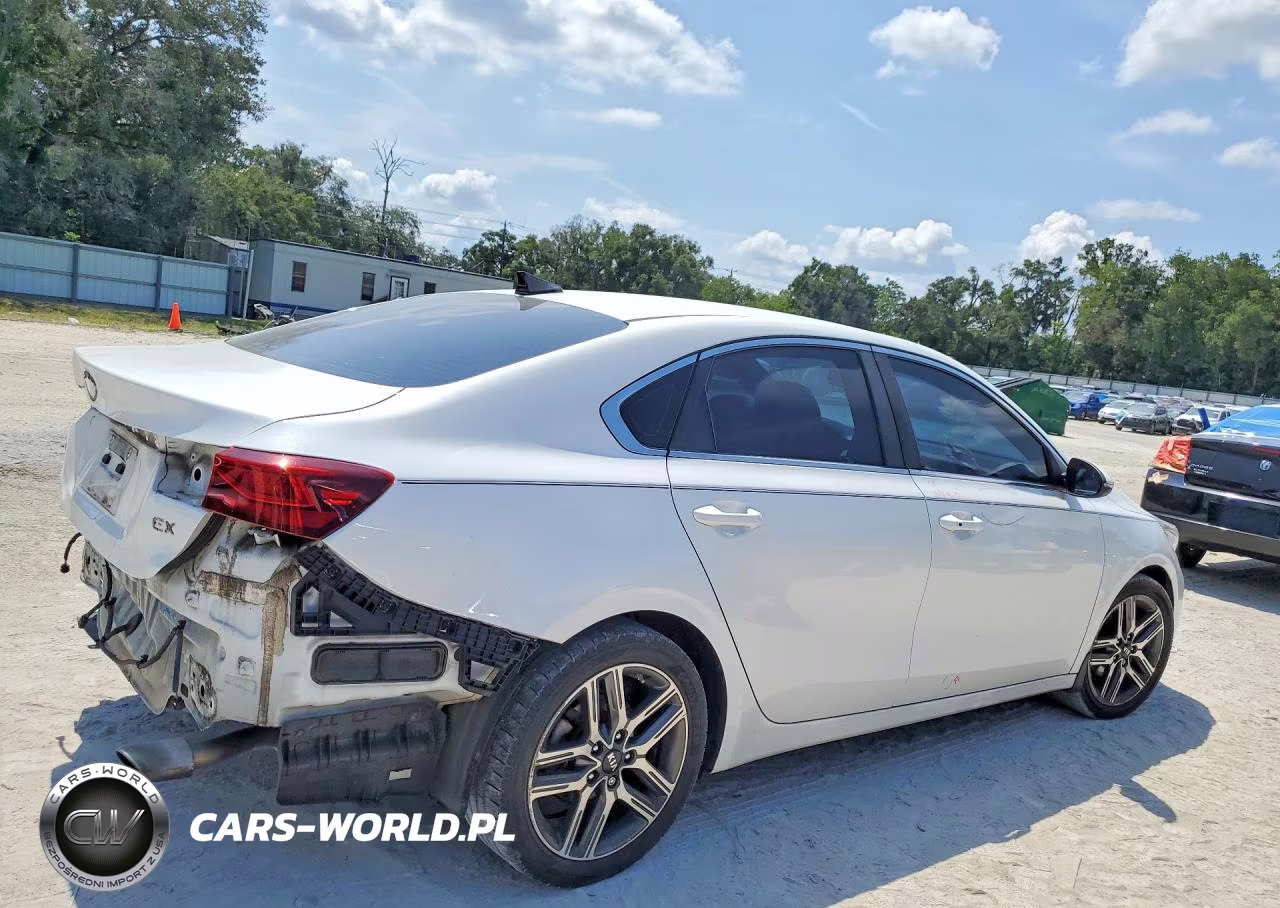 2019 Kia Forte Ex VIN:3KPF54AD8KE029888 - 3
