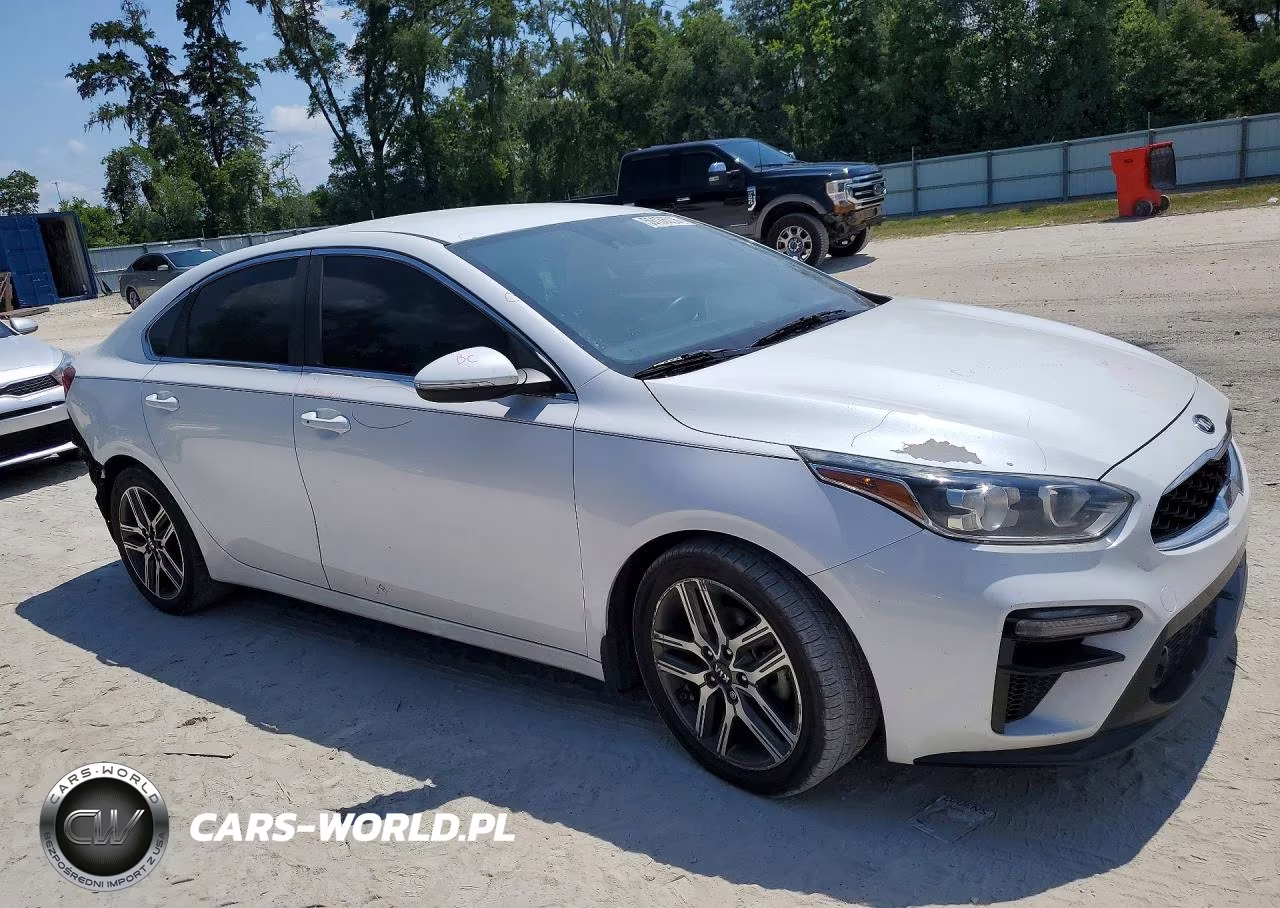 2019 Kia Forte Ex VIN:3KPF54AD8KE029888 - 4