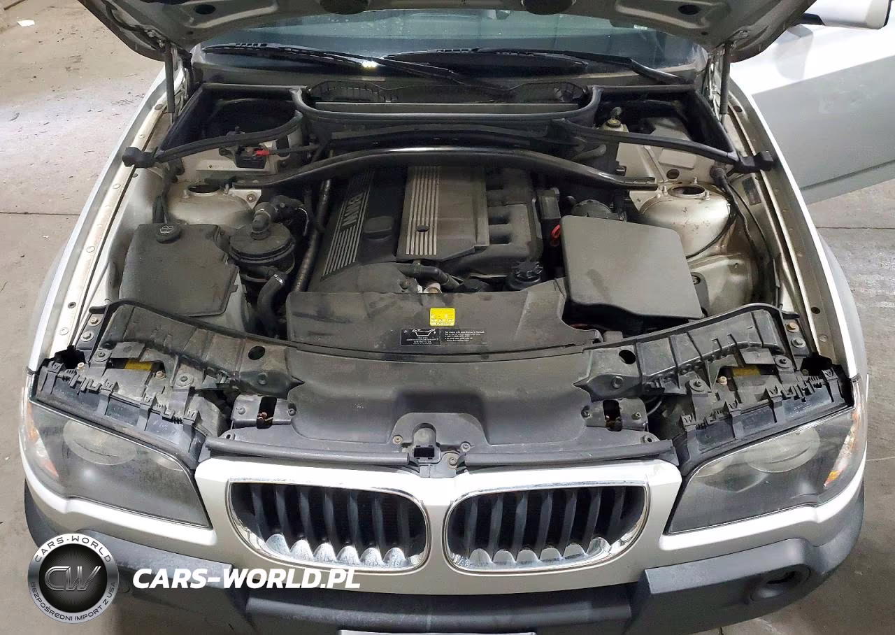2005 BMW X3 3.0I VIN:WBXPA93415WD11333 - 12