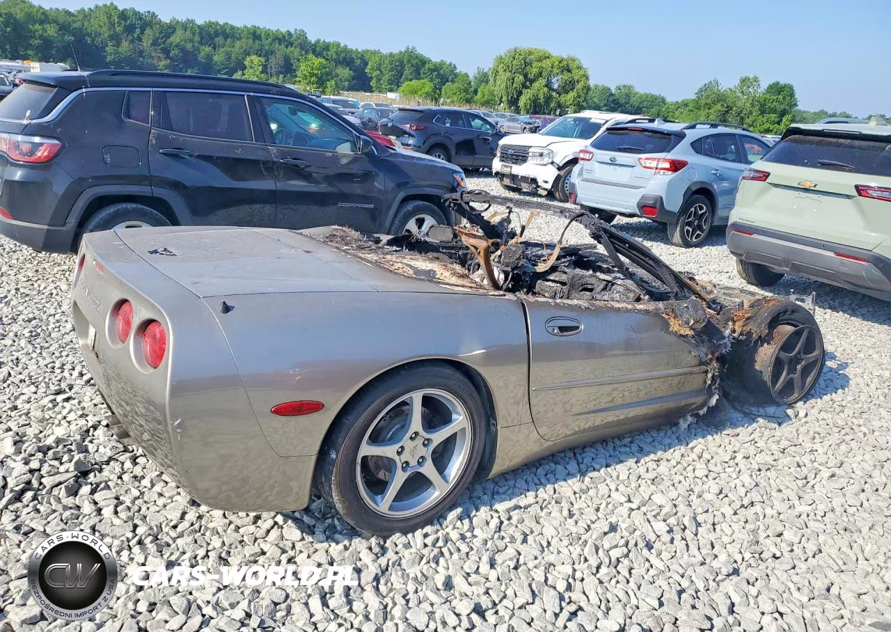1999 Chevrolet Corvette VIN:1G1YY32G0X5132611 - 3