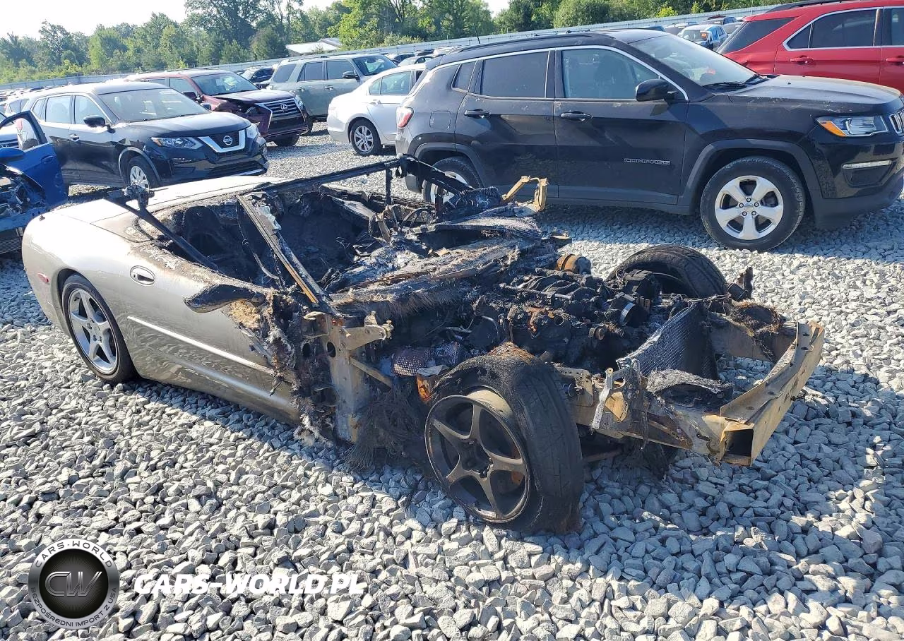 1999 Chevrolet Corvette VIN:1G1YY32G0X5132611 - 4
