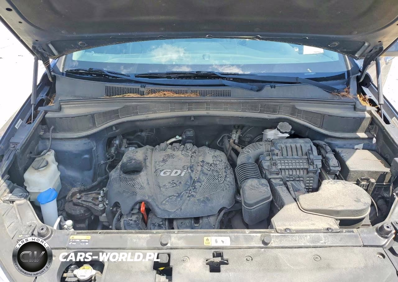 2014 Hyundai Santa Fe Sport 2.4L VIN:5XYZUDLBXEG213619 - 12