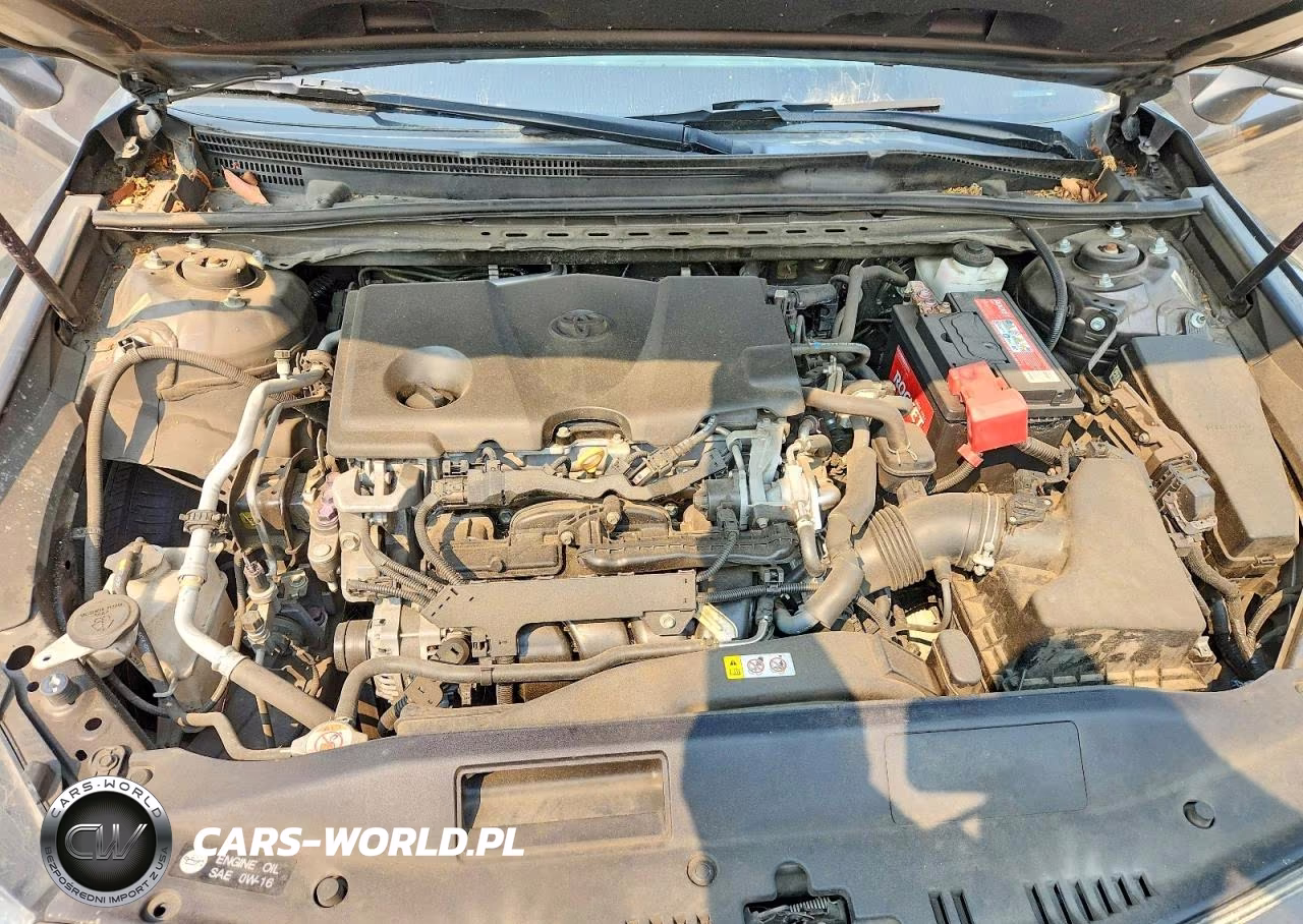2019 Toyota Camry Le VIN:4T1B11HK1KU850034 - 11