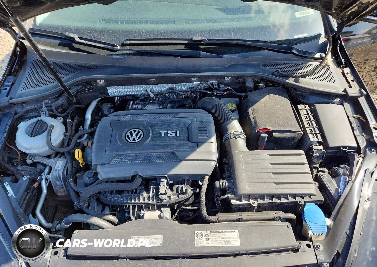 2016 Volkswagen Golf S-Se-Sel VIN:3VW217AU9GM015553 - 11