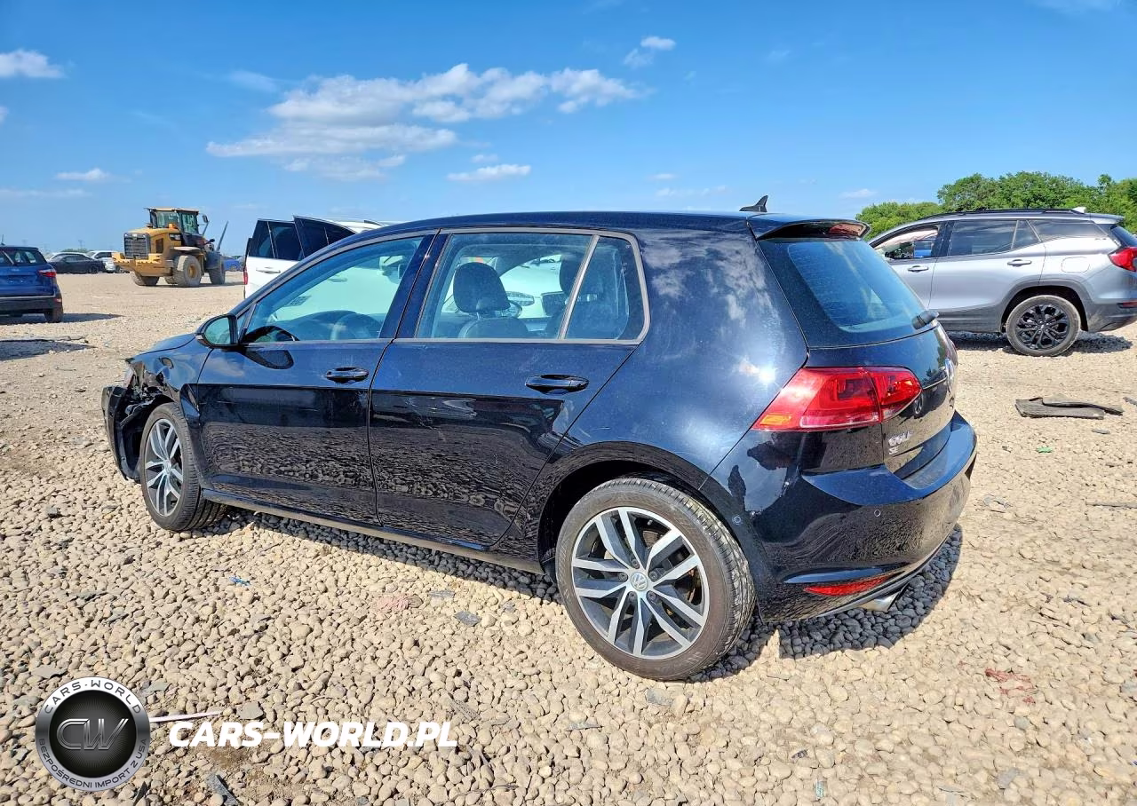 2016 Volkswagen Golf S-Se-Sel VIN:3VW217AU9GM015553 - 2