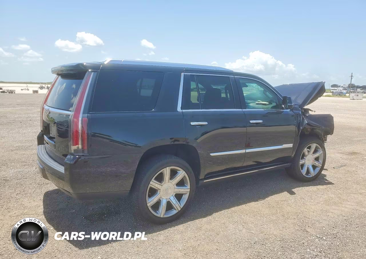 2019 Cadillac Escalade Premium Luxury VIN:1GYS3CKJ0KR158726 - 3