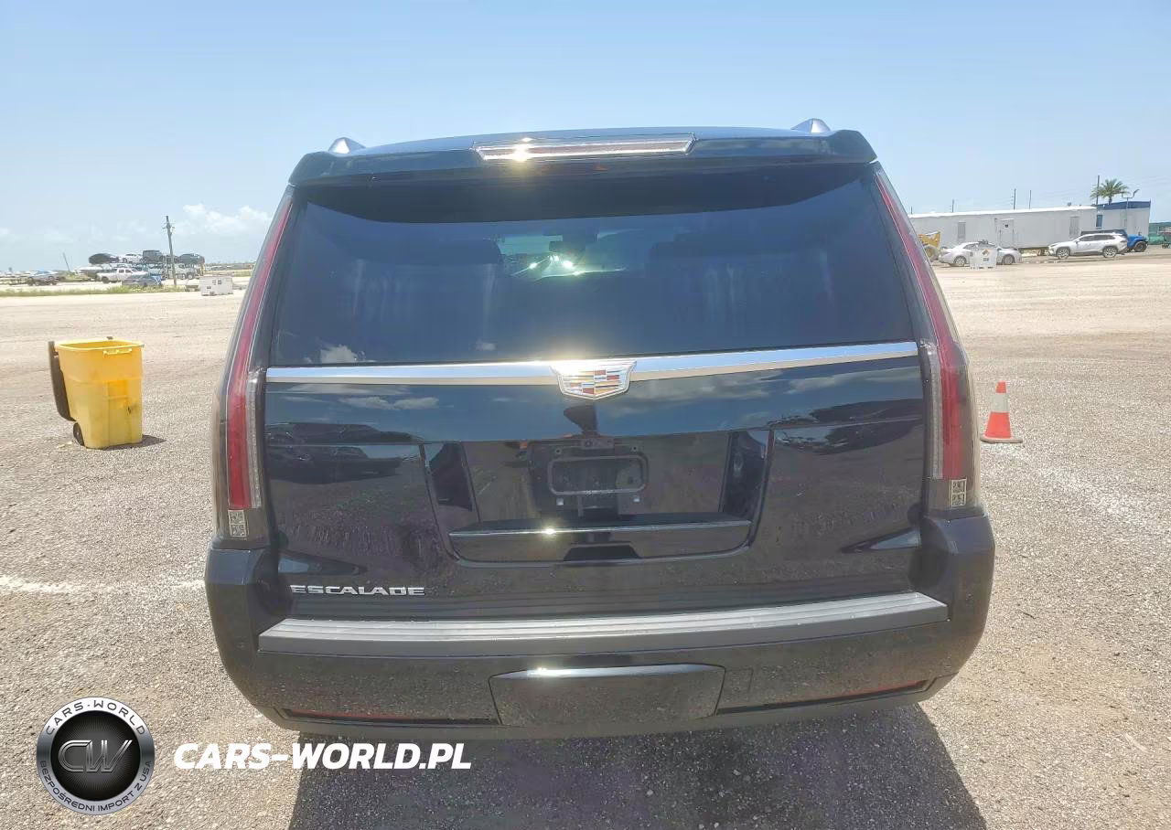 2019 Cadillac Escalade Premium Luxury VIN:1GYS3CKJ0KR158726 - 6