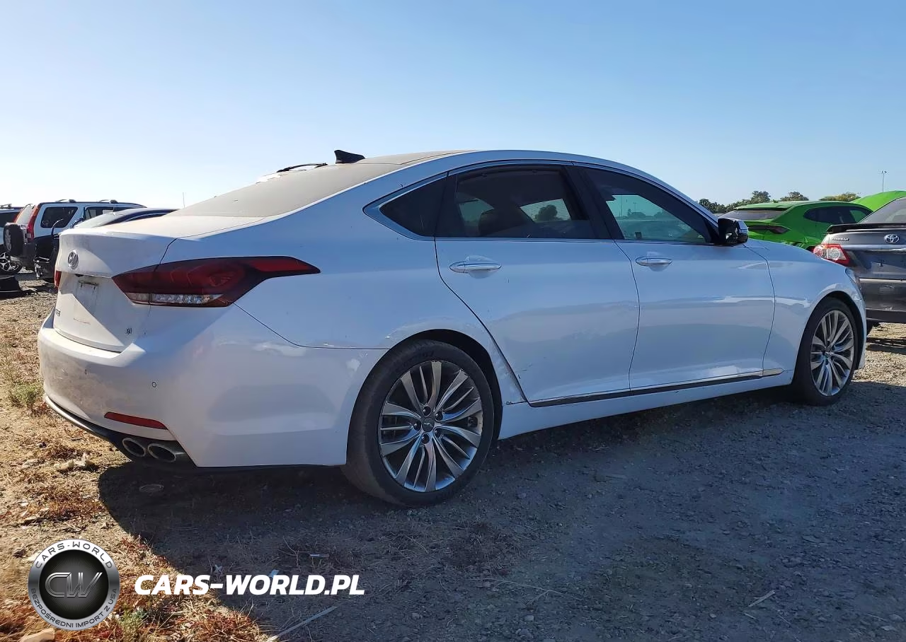 2015 Hyundai Genesis 5.0L VIN:KMHGN4JFXFU019226 - 3