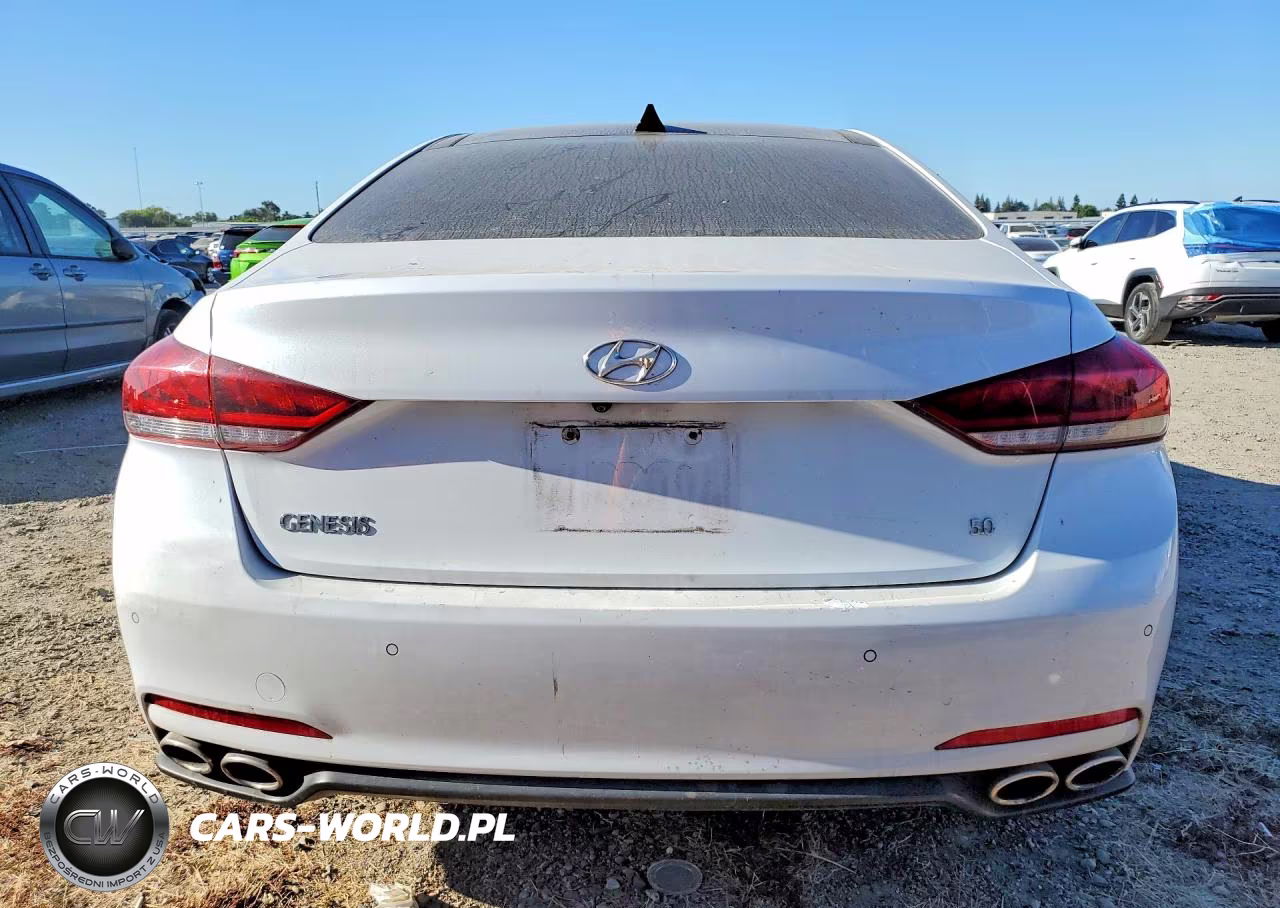 2015 Hyundai Genesis 5.0L VIN:KMHGN4JFXFU019226 - 6