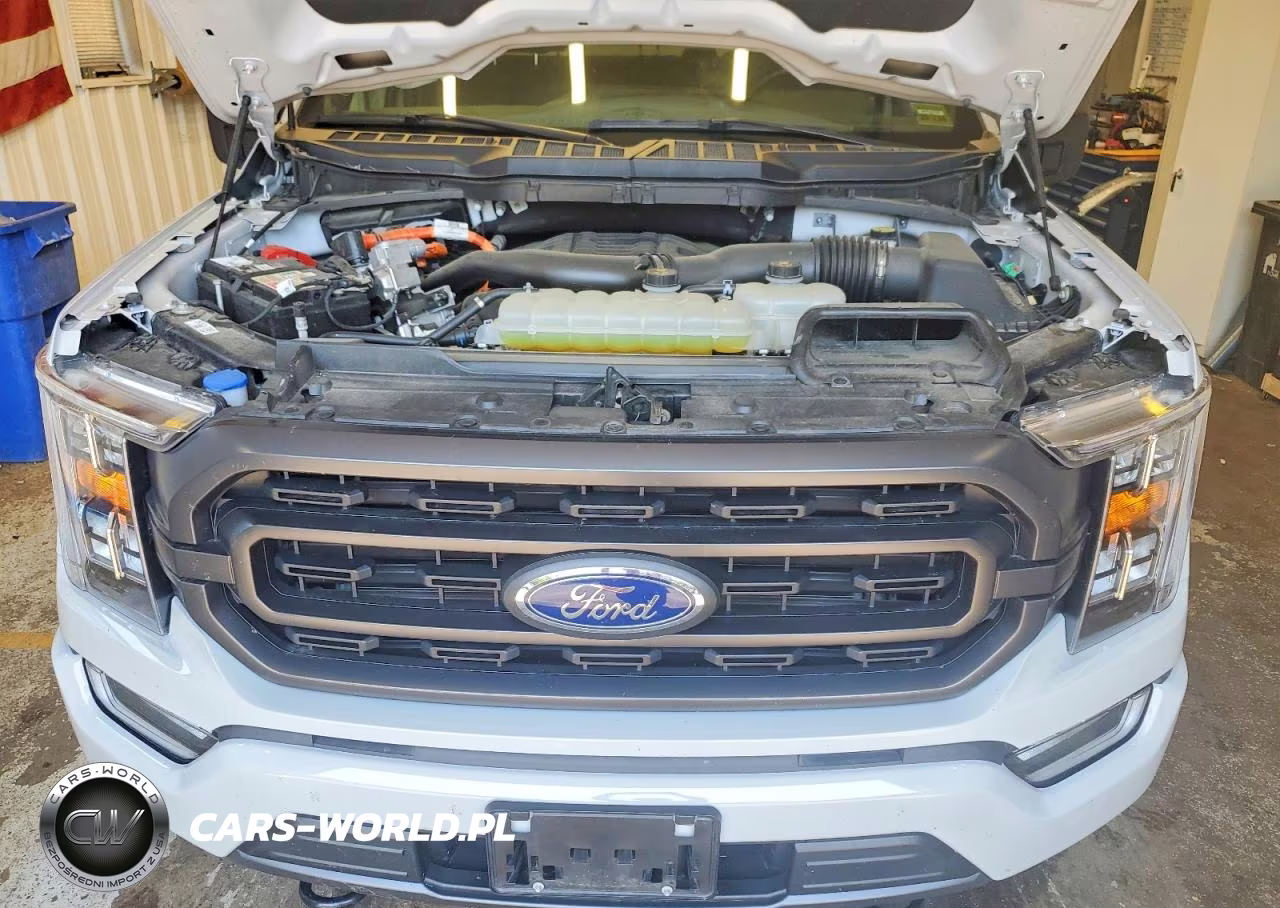 2023 Ford F150 Supercrew VIN:1FTFW1ED2PFC74916 - 11
