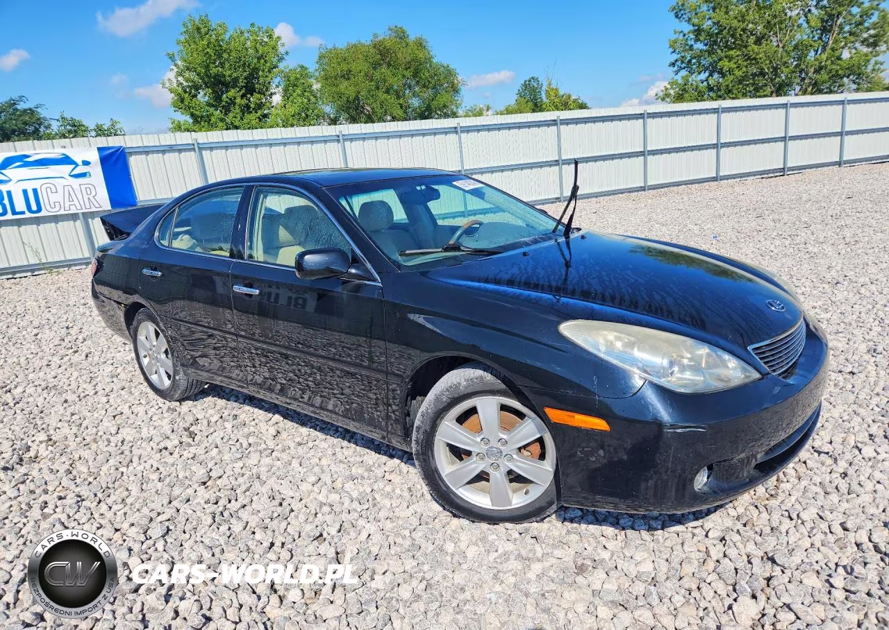 2005 Lexus Es 330 VIN:JTHBA30G755136560 - 4