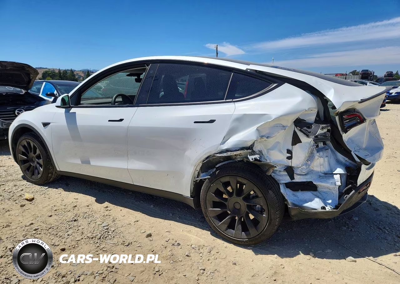 2023 Tesla Model Y VIN:7SAYGDEE8PF690587 - 2