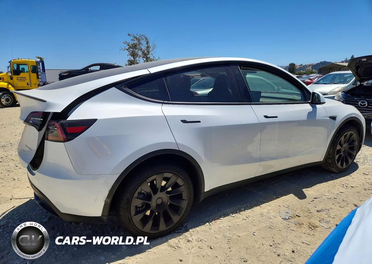 2023 Tesla Model Y VIN:7SAYGDEE8PF690587 - 3