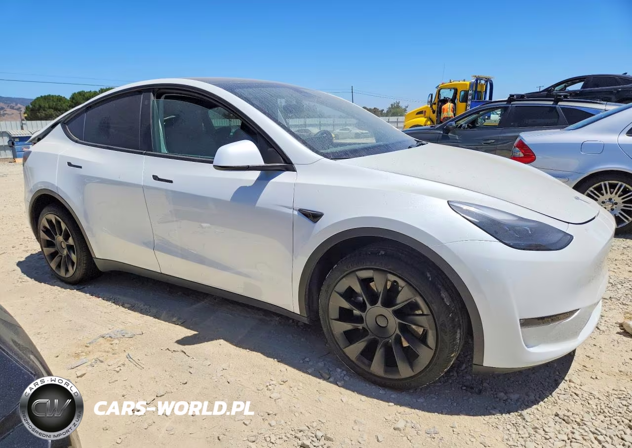 2023 Tesla Model Y VIN:7SAYGDEE8PF690587 - 4