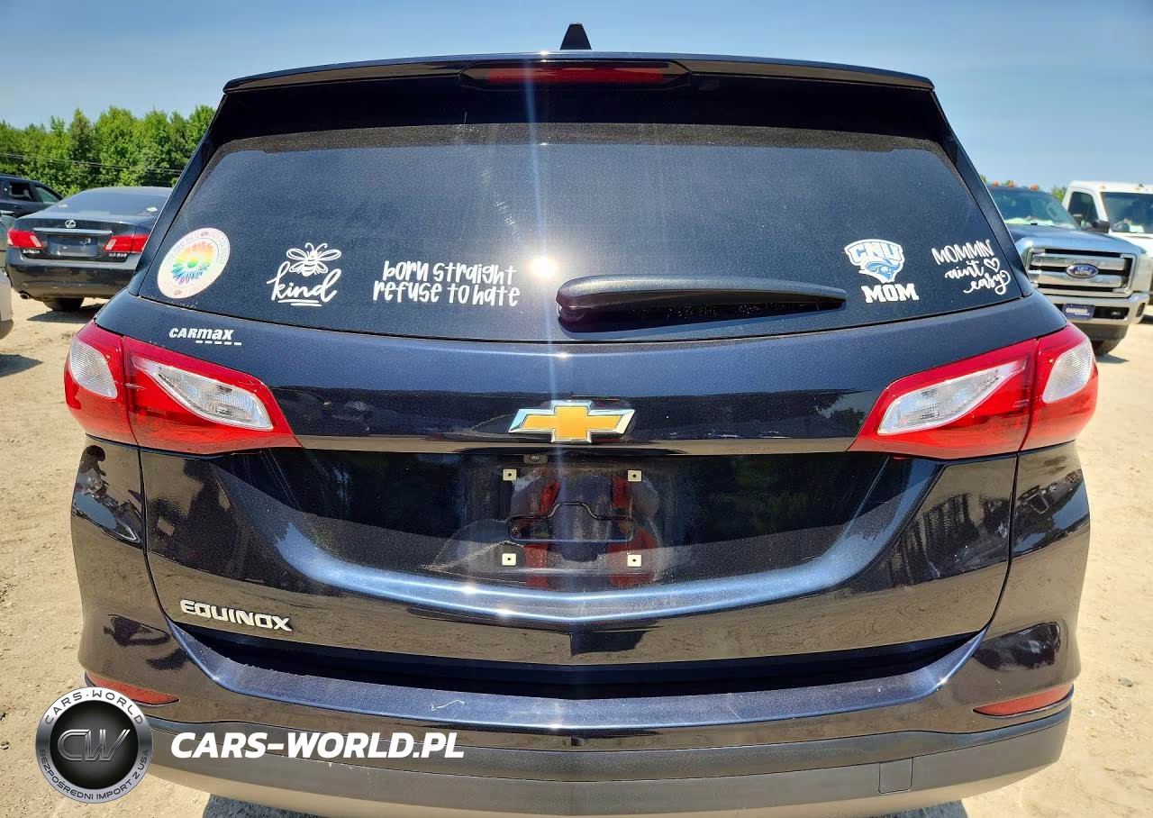 2020 Chevrolet Equinox Ls VIN:2GNAXHEV6L6193535 - 6