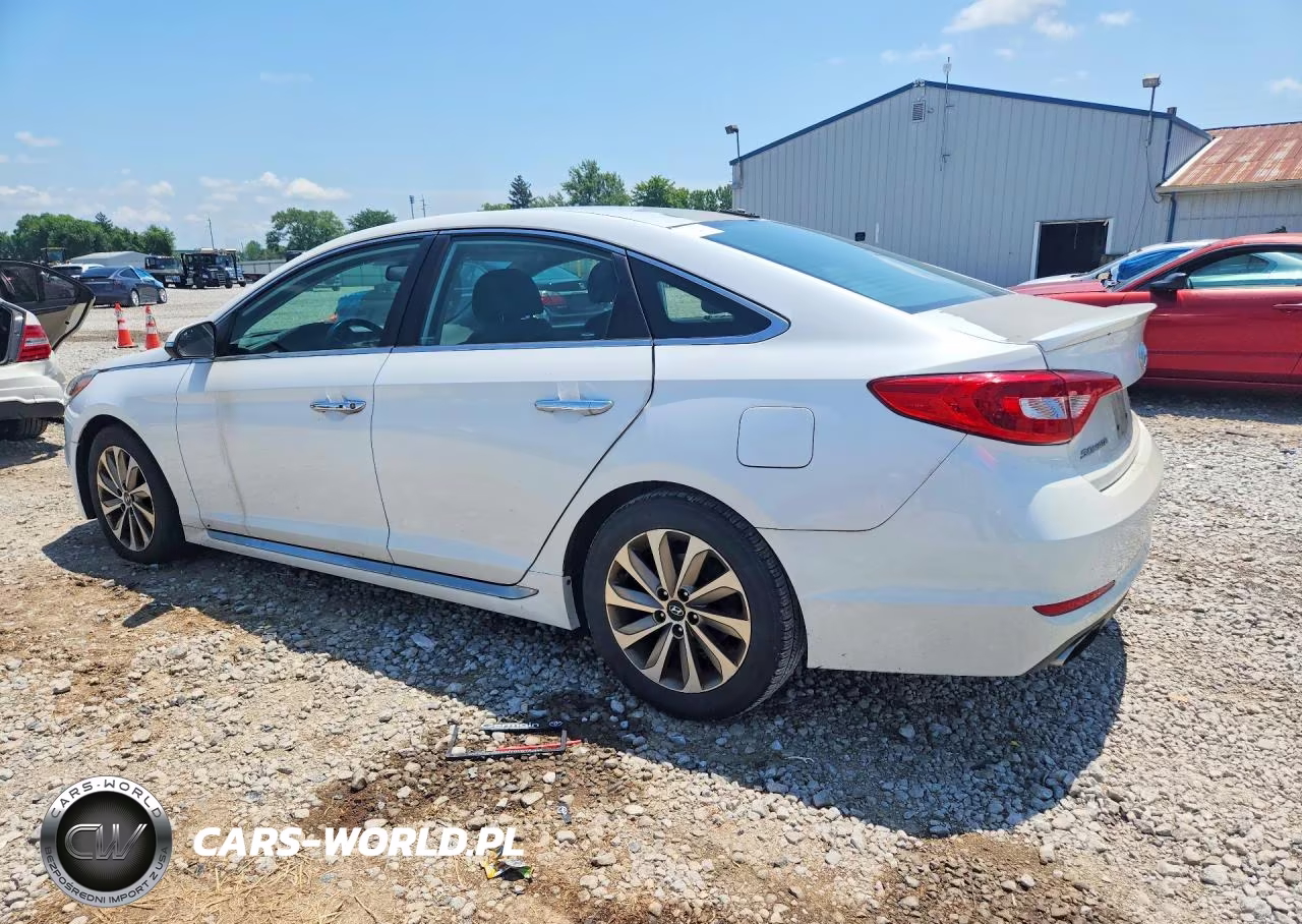 2016 Hyundai Sonata Sport VIN:5NPE34AFXGH377181 - 2