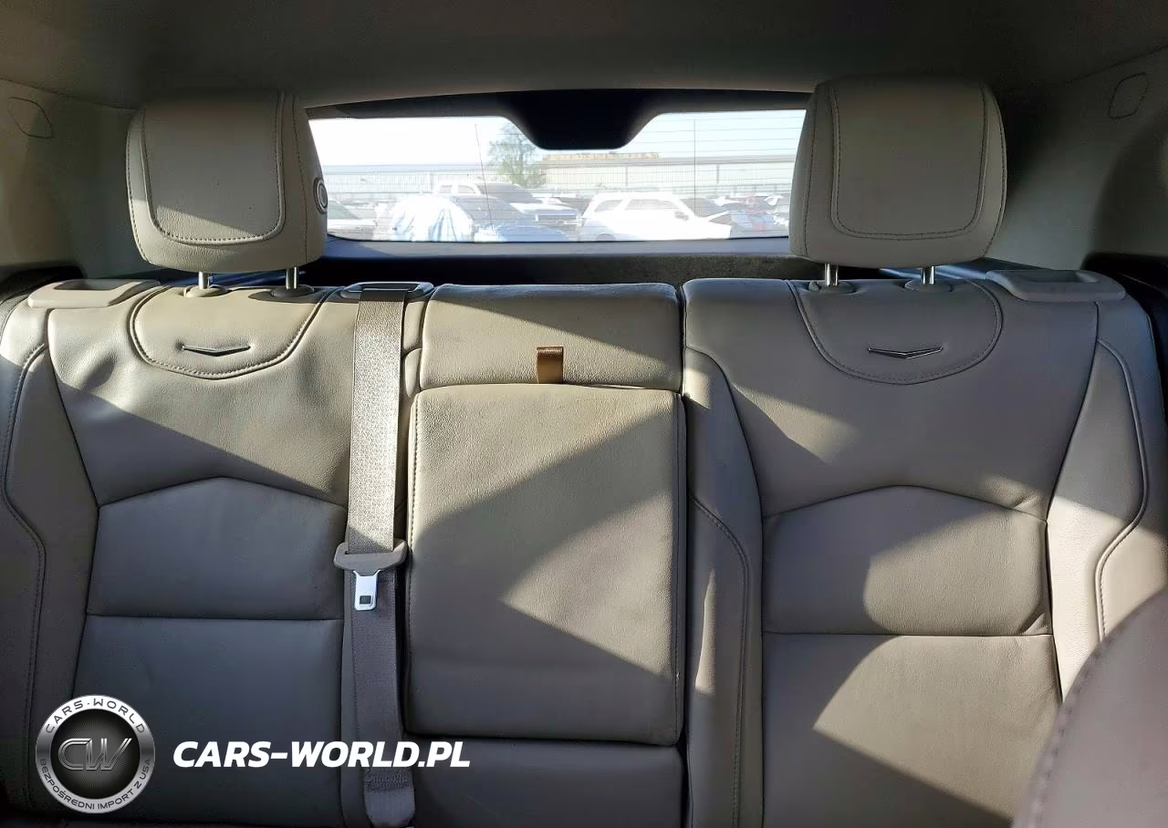 2020 Cadillac Xt4 Premium Luxury VIN:1GYFZCR41LF074207 - 10