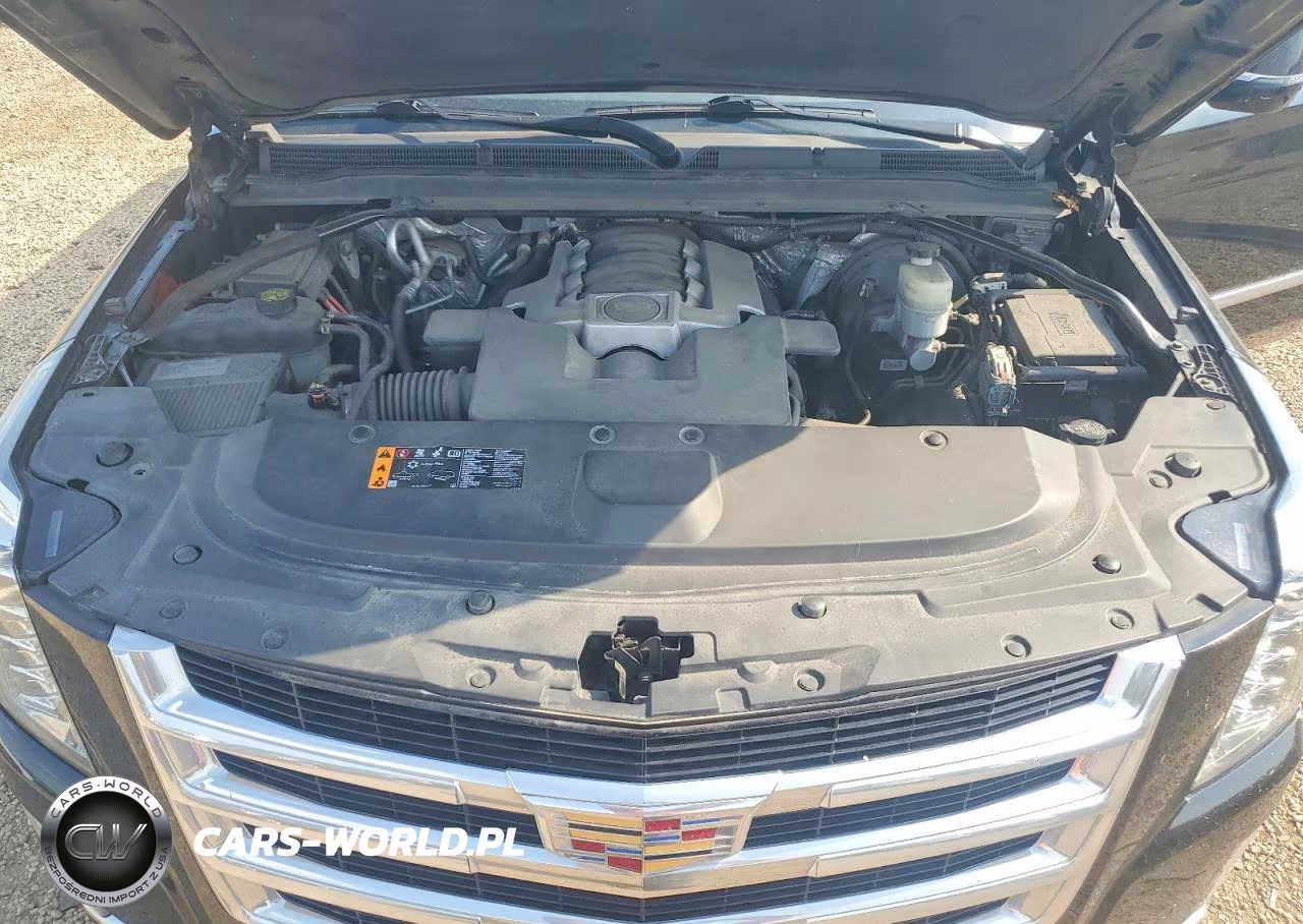 2017 Cadillac Escalade Esv VIN:1GYS4GKJ4HR203566 - 12