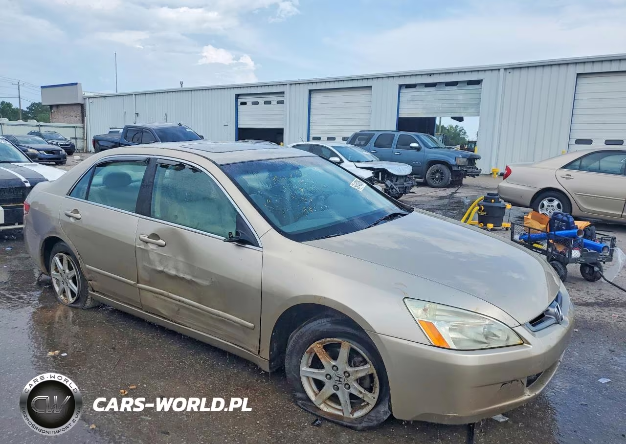 2004 Honda Accord Ex VIN:1HGCM66584A091706 - 4