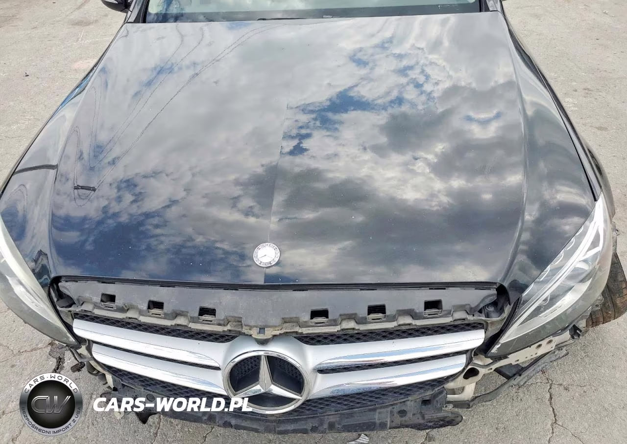 2016 Mercedes-Benz C 300 4Matic VIN:55SWF4KB0GU142213 - 11