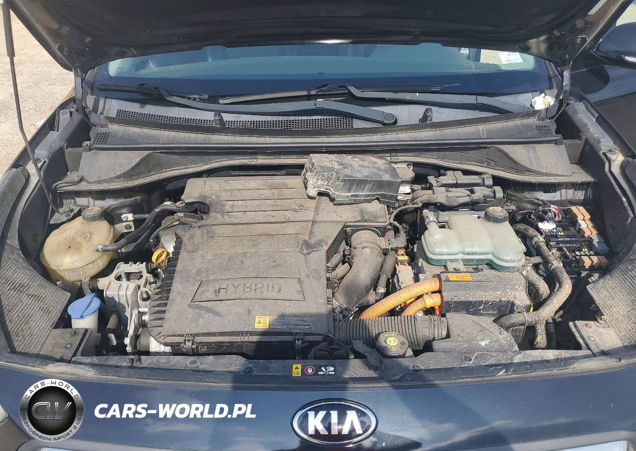 2017 Kia Niro Lxs Special Edition VIN:KNDCC3LC4H5065900 - 11