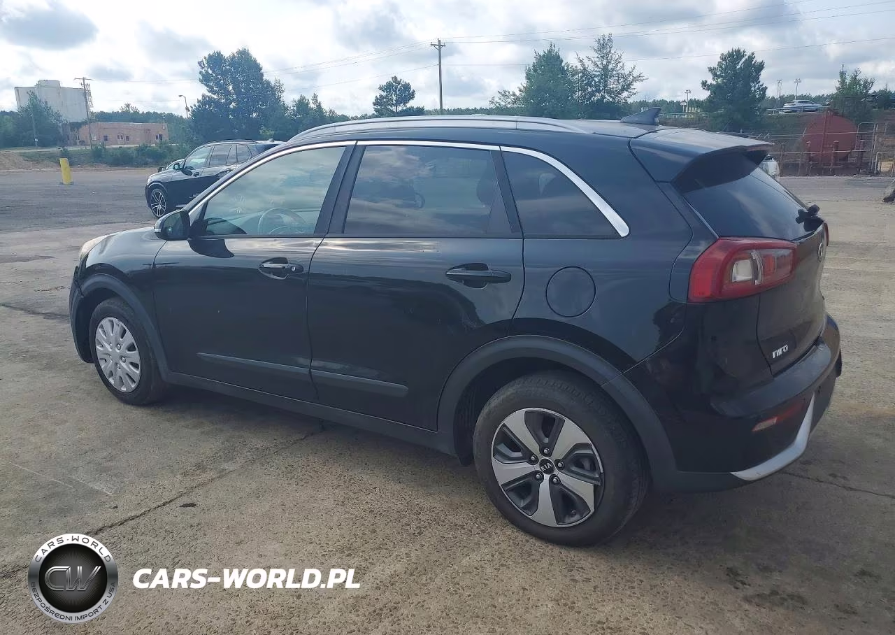 2017 Kia Niro Lxs Special Edition VIN:KNDCC3LC4H5065900 - 2