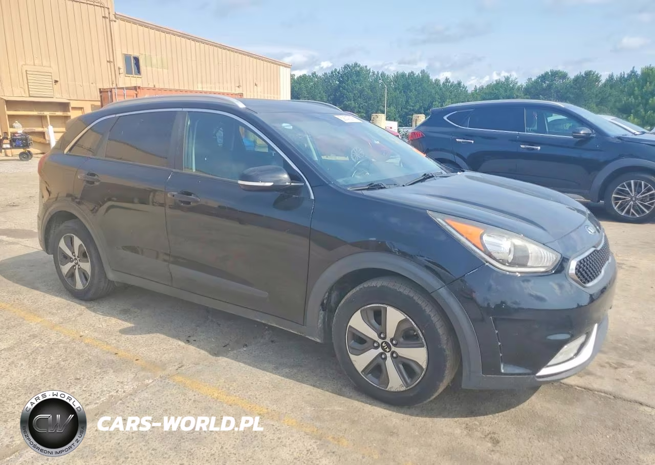 2017 Kia Niro Lxs Special Edition VIN:KNDCC3LC4H5065900 - 4