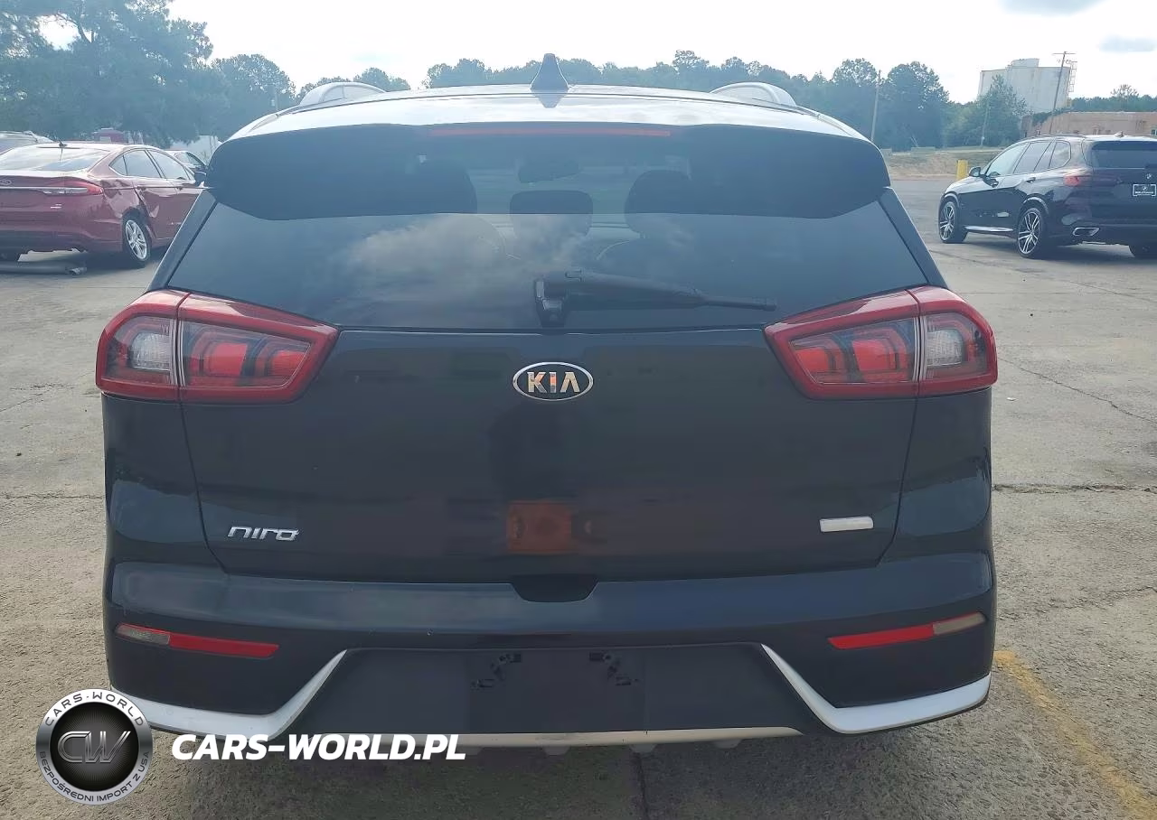2017 Kia Niro Lxs Special Edition VIN:KNDCC3LC4H5065900 - 6