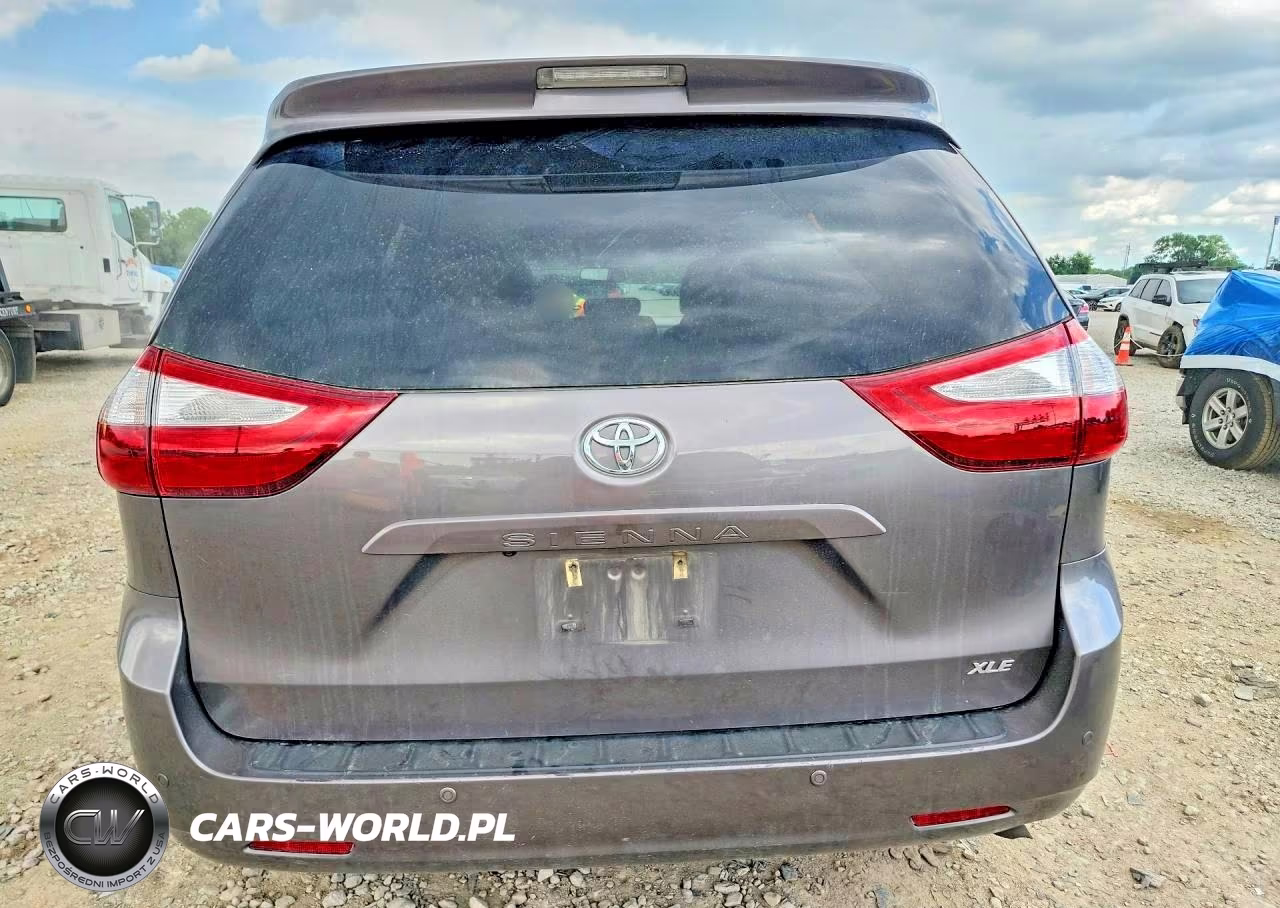 2016 Toyota Sienna Xle Premium 8-Passenger VIN:5TDYK3DC7GS735505 - 6