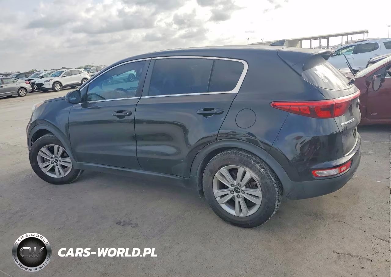 2017 Kia Sportage Lx VIN:KNDPM3AC4H7161306 - 2