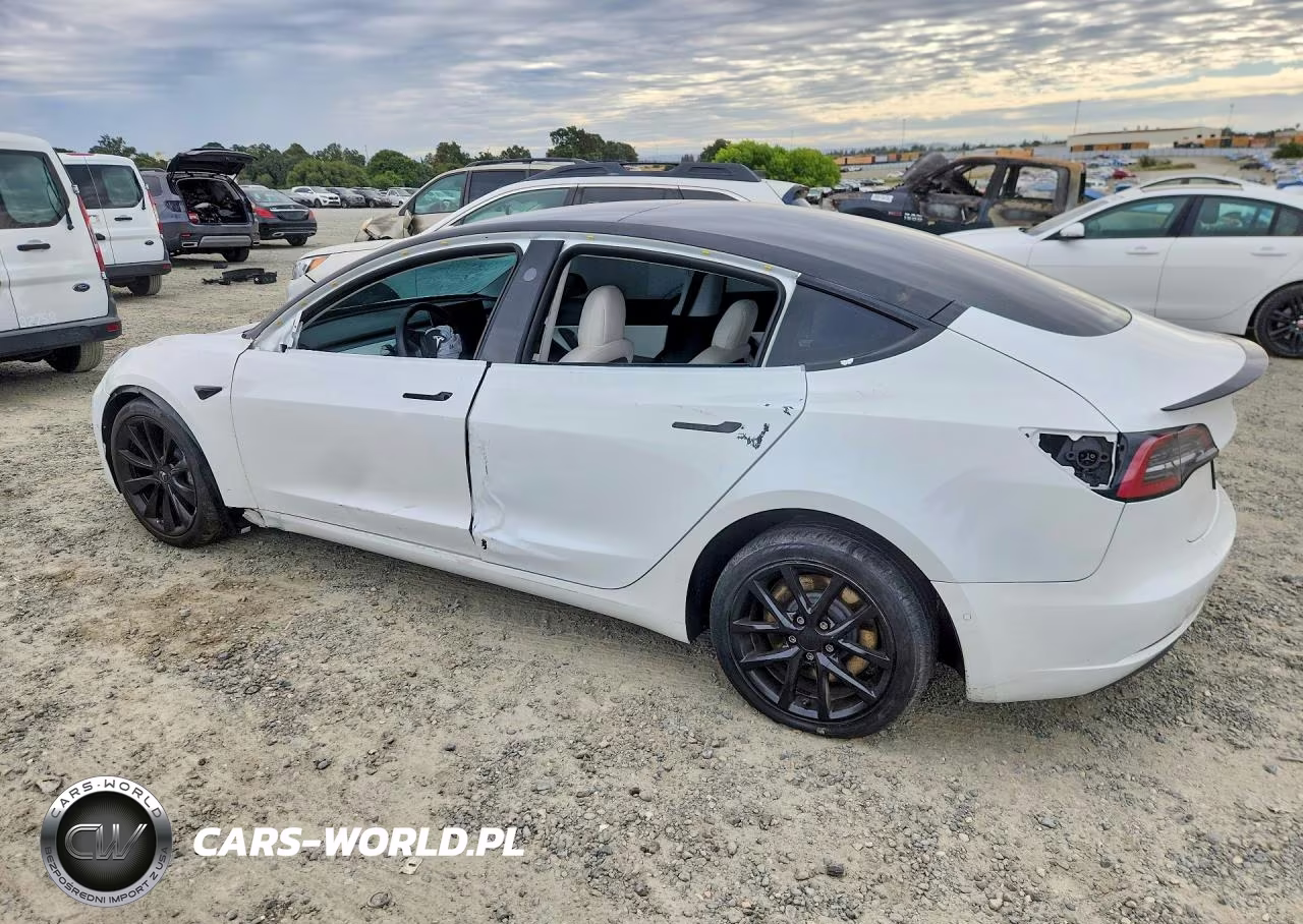 2019 Tesla Model 3 VIN:5YJ3E1EB6KF421904 - 2