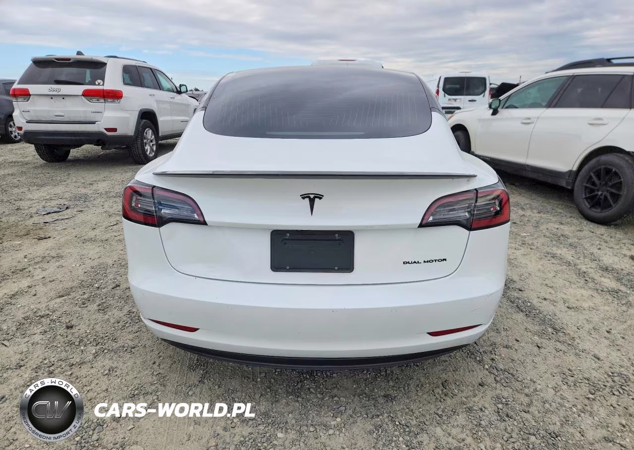 2019 Tesla Model 3 VIN:5YJ3E1EB6KF421904 - 6